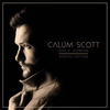 Calum Scott - No Matter What Downnload Ringtone