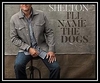 Blake Shelton - I'll Name The Dogs Downnload Ringtone