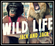 Wild Life Download