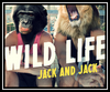 Jack & Jack - Wild Life Downnload Ringtone