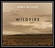 Wildfire Download