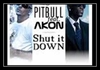 Pitbull Feat. Akon - Shut It Down Downnload Ringtone