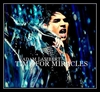 Adam Lambert - Time For Miracles Downnload Ringtone