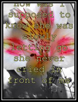 She Never Cried In Front Of Me Download free