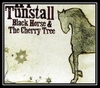 KT Tunstall - Black Horse & The Cherry Tree Downnload Ringtone