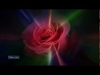 Leo Rojas - The Rose Downnload Ringtone