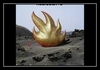 Audioslave - Cochise Downnload Ringtone