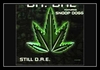 Dr. Dre Feat. Snoop Dog - Still D.R.E. Downnload Ringtone