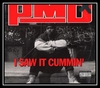 PMD - I Saw It Cummin' Downnload Ringtone