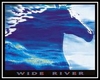 Steve Miller Band - Wide River Downnload Ringtone