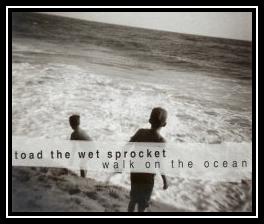 Walk On The Ocean Download free