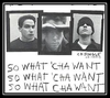 Beastie Boys - So What'cha Want Downnload Ringtone