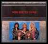 Whitesnake - Now You're Gone Downnload Ringtone