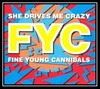 Fine Young Cannibals - She Drives Me Crazy Downnload Ringtone