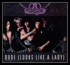 Aerosmith - Dude (Looks Like A Lady) Downnload Ringtone