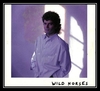 Gino Vannelli - Wild Horses Downnload Ringtone