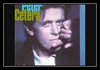 Peter Cetera - Big Mistake Downnload Ringtone