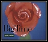 Peter Gabriel - Big Time Downnload Ringtone