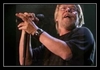 Bob Seger - Understanding Downnload Ringtone