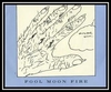 Fool Moon Fire Download Ringtone