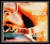 Peter Gabriel - Shock The Monkey Downnload Ringtone