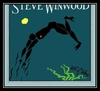 Steve Winwood - Arc Of A Diver Downnload Ringtone