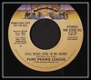 Pure Prairie League - Still Right Here In My Heart Downnload Ringtone