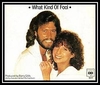 Barbra Streisand & Barry Gibb - What Kind Of Fool Downnload Ringtone