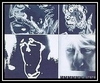 The Rolling Stones - Emotional Rescue Downnload Ringtone