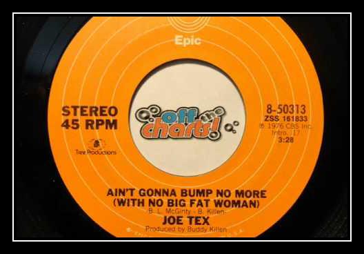 Ain't Gonna Bump No More (with No Big Fat Woman) Download free