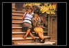 Laverne & Shirley - Sixteen Reasons Downnload Ringtone