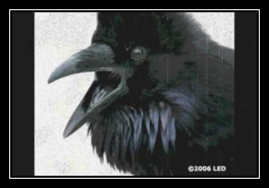 The Raven Download free