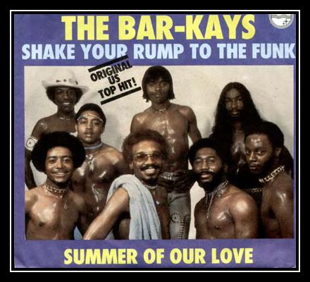 Shake Your Rump To The Funk Download free