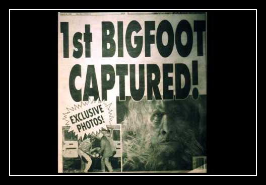 Bigfoot Download free