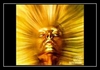 Sun Goddess Download Ringtone