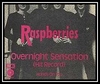 The Raspberries - Overnight Sensation (Hit Record) Downnload Ringtone