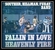 Fallin' In Love Download