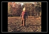 The Allman Brothers Band - Ramblin Man Downnload Ringtone