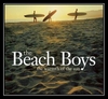 The Beach Boys - Break Away Downnload Ringtone