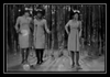 The Marvelettes - Don't Mess With Bill Downnload Ringtone