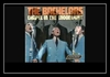 The Bachelors - Chapel In The Moonlight Downnload Ringtone