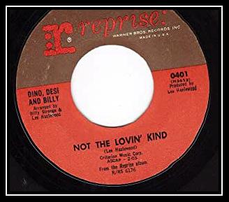 Not The Lovin' Kind Download free