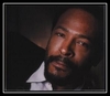 Marvin Gaye - How Sweet It Is To Be Loved By You Downnload Ringtone