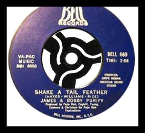 Shake A Tail Feather Download free