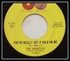 The Miracles - You've Really Got A Hold On Me Downnload Ringtone