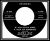 James Ray - If You Gotta Make A Fool Of Somebody Downnload Ringtone