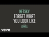 Netsky - Forget What You Look Like Downnload Ringtone