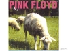 Pink Floyd - Sheep Downnload Ringtone