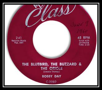 The Bluebird, The Buzzard & The Oriole Download free