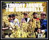 Tommy James & The Shondells - Come To Me Downnload Ringtone